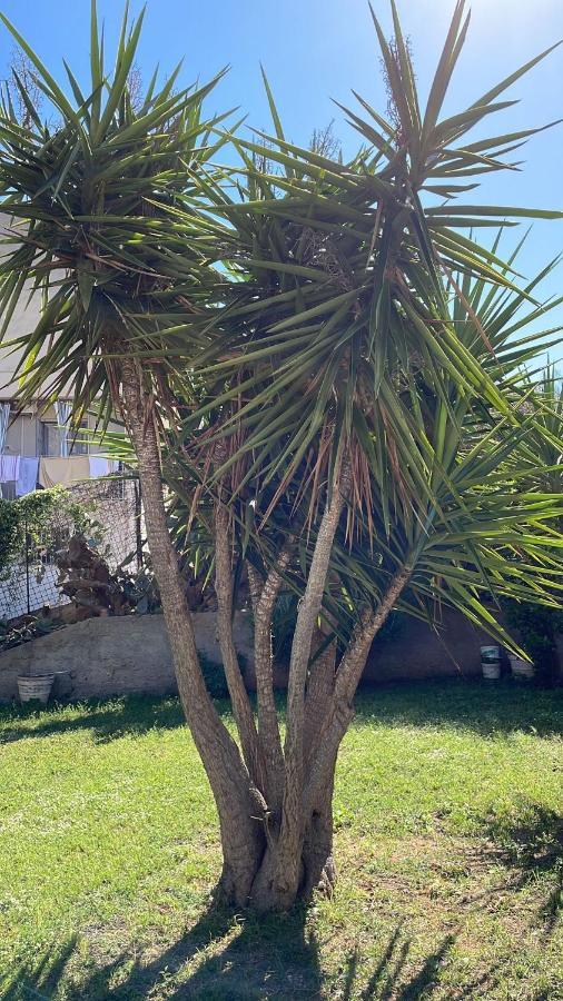 Campofelice Casa Vacanza Palermo Exterior foto