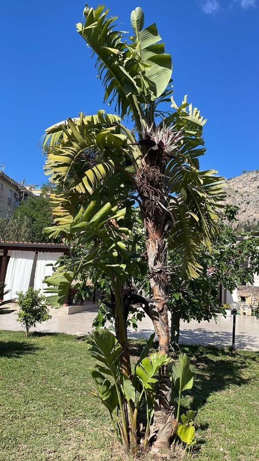 Campofelice Casa Vacanza Palermo Exterior foto
